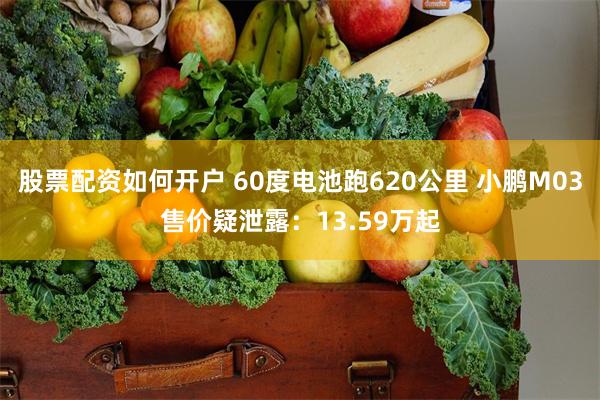 股票配资如何开户 60度电池跑620公里 小鹏M03售价疑泄露：13.59万起