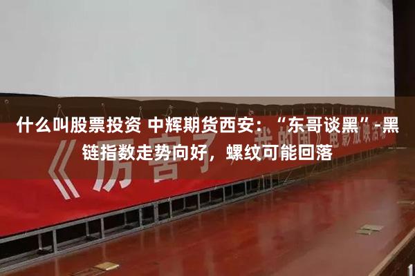 什么叫股票投资 中辉期货西安：“东哥谈黑”-黑链指数走势向好，螺纹可能回落