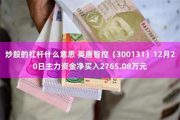 炒股的杠杆什么意思 英唐智控（300131）12月20日主力资金净买入2765.08万元