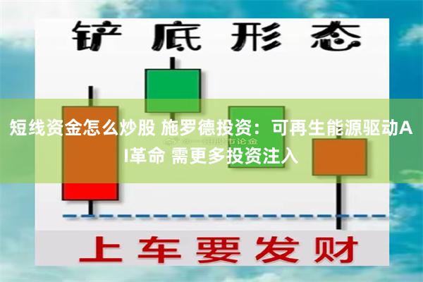 短线资金怎么炒股 施罗德投资：可再生能源驱动AI革命 需更多投资注入