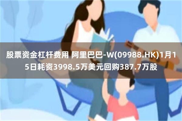 股票资金杠杆费用 阿里巴巴-W(09988.HK)1月15日耗资3998.5万美元回购387.7万股