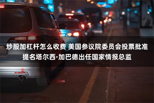 炒股加杠杆怎么收费 美国参议院委员会投票批准提名塔尔西·加巴德出任国家情报总监